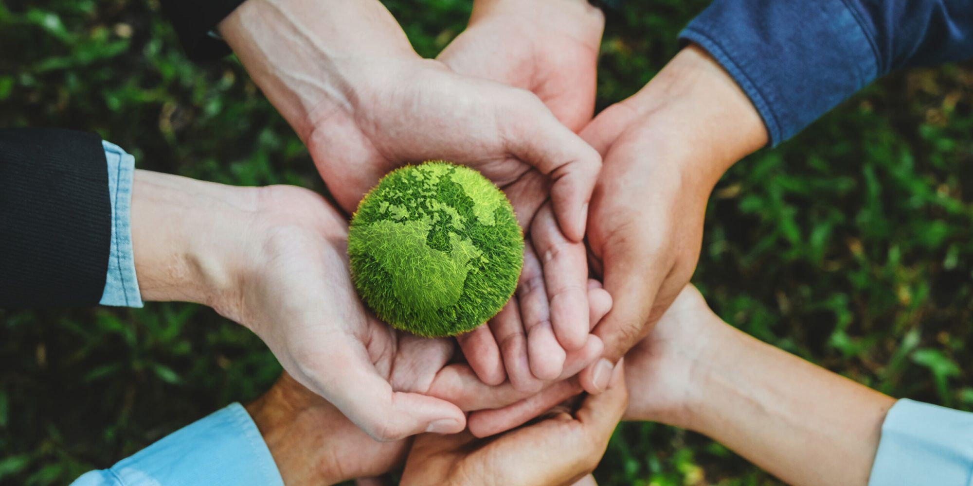 manos sujetando una bola del mundo hecha con hierbas verdes